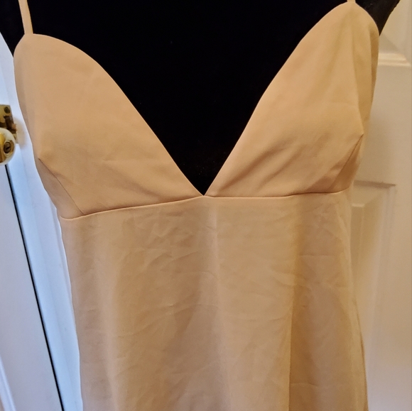 🍋For Love and Lemons Mini Length Nude V-Neck Slip - MEDIUM - Picture 6 of 11